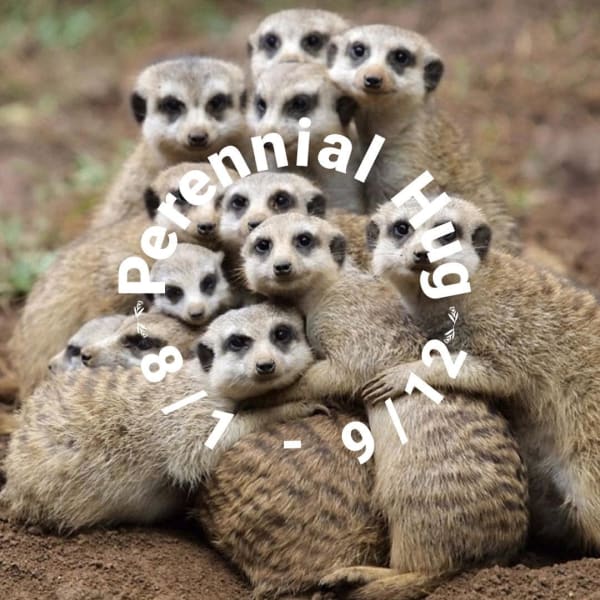 Perennial Hug 3: Chicago and Vicinity