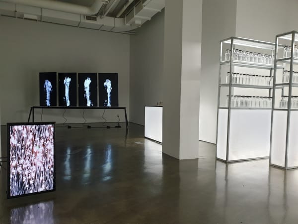 moving : the green ray