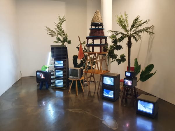 My Cheshire Cat and from Himalaya