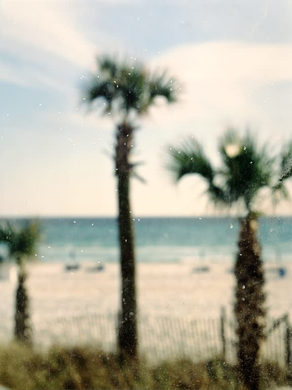 Front Beach Rd Panama City Fl Ii Type C Print 40X30Inch 2004