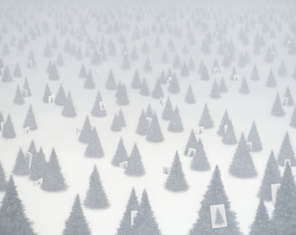 Silence, 2024, oil on canvas,130 x 162cm