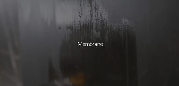 Membrane 16.10.4 - 10.28, 안경수