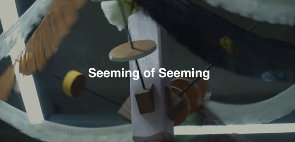 Seeming of Seeming , Min Sunghong