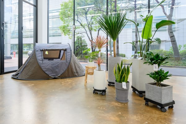 작가의 화분 Artist’s Plant | 2020 Plants | Size variable 작가의 텐트 Artist’s Tent | 2020 Tent | Size variable