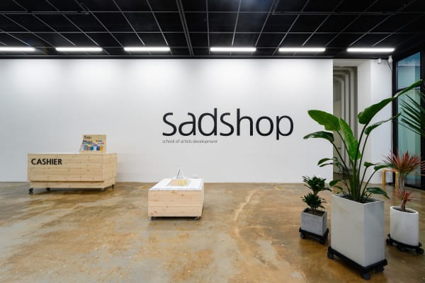 Installation View, SAD School of Artists Development, 2020