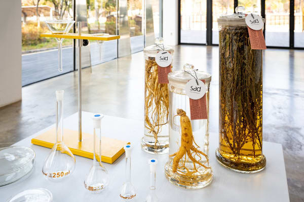 미디어 아티스트 시작 키트 Media Artist Starter Kit | 2020 Laboratory gown, glass specimen jar, petri dish, funnel, funnel stand...