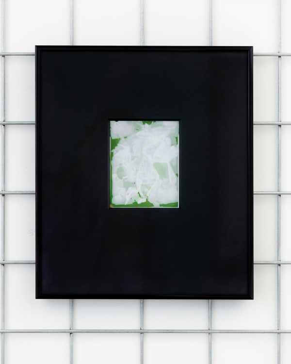 Four works by Kate van der Drift acquired for the permanent collection at Te Papa