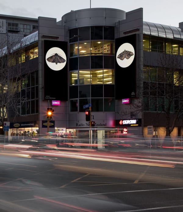 Liam Gerrard features in Art Ache Activation