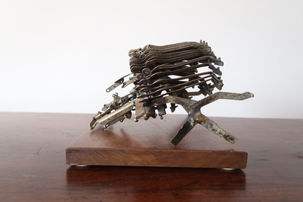 Feliza Bursztyn, Beatle