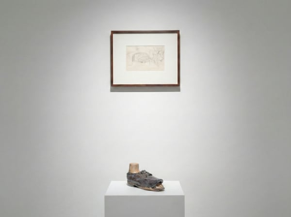 Whatsapp Image 2026 01 23 At 15 04 30