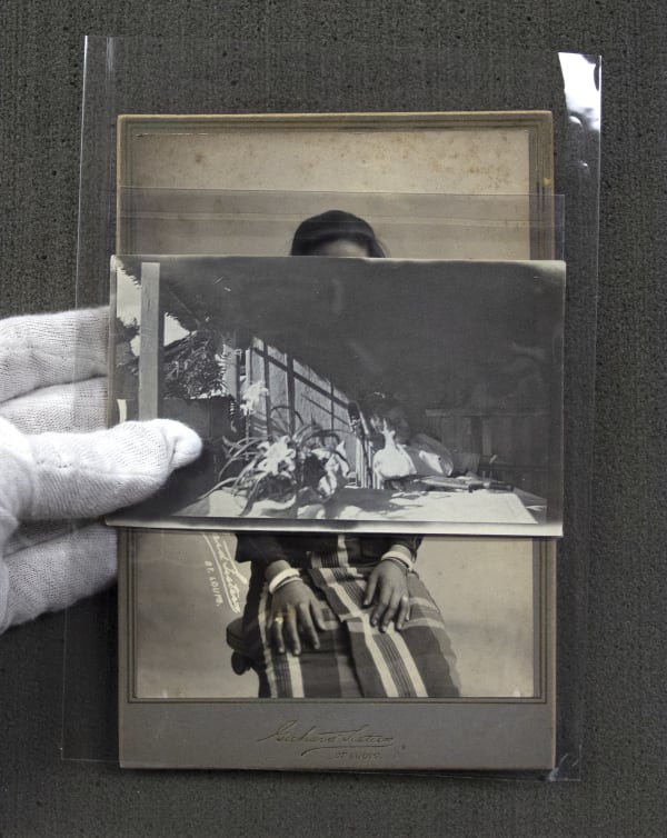 Stephanie Syjuco, Overlay, 2021