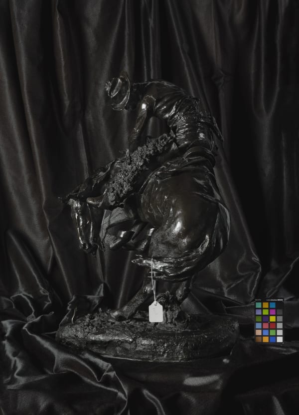 Stephanie Syjuco, Set Up (The Rattlesnake), 2021