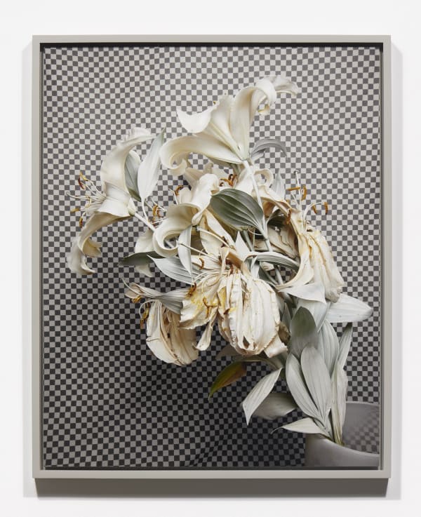 Stephanie Syjuco, Whiteout (Krylon ColorMaster Gloss White on White Oriental Lillies) in the series "Hard Light", 2019