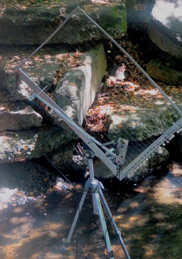 Kal Spelletich (2020)