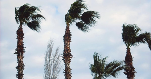 Annual Holiday Party