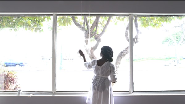 Nanci Amaka Cleanse | Windows, 2017 - Ongoing