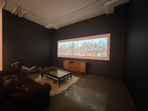 Installation shot of WOUNDED, Courtesy of Catharine Clark Gallery, San Francisco