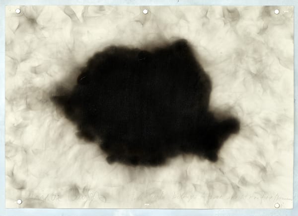 Nathan Chicheportiche Mircea Cantor 01 11 24 120