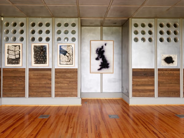 Nathan Chicheportiche Mircea Cantor 01 11 24 163