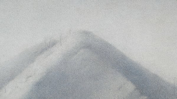 LES FEUILLAGES DU AUVENT Shan Weijun