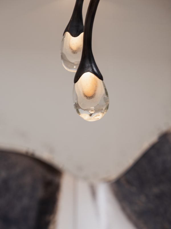 Galeriegastou Irenecattaneo Photo Edouardauffray 18