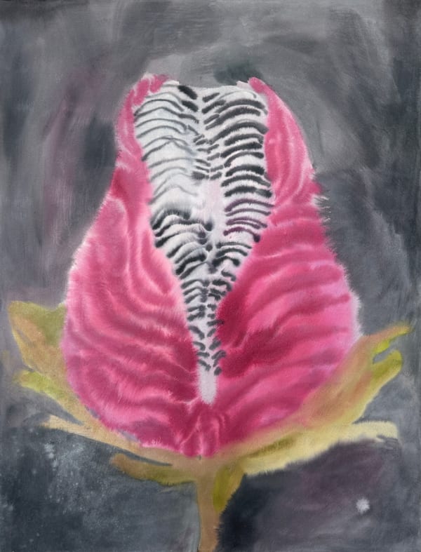 Ruschka du Toit, SOFT INSIDES, 2024