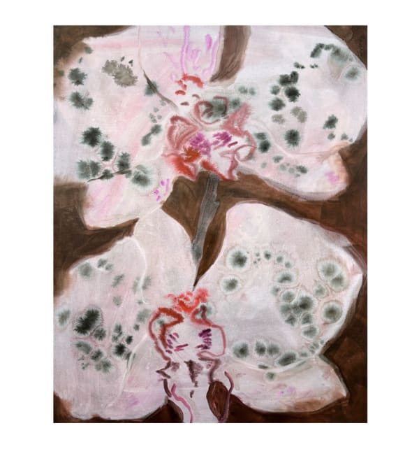 Ruschka du Toit, THEY BORE WITNESS TO ME WHEN I COULDN'T, 2025