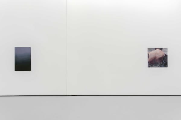 Berke Dog Anog Lu Exh View As Adam Early In The Morning 4