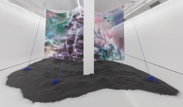 Raphael Barontini Tapestry From An Asteroid 2018 Digital Print Vinyl On Fabric And Rope 350 X 1000 Cm Unique 4