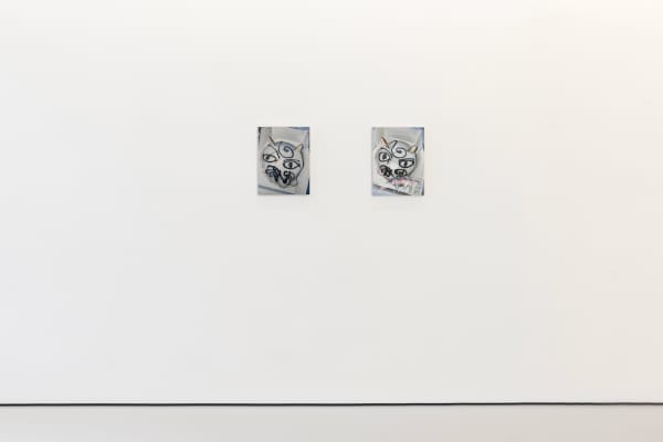 2024 The Pill Far From The Pictures Mireille Blanc 13