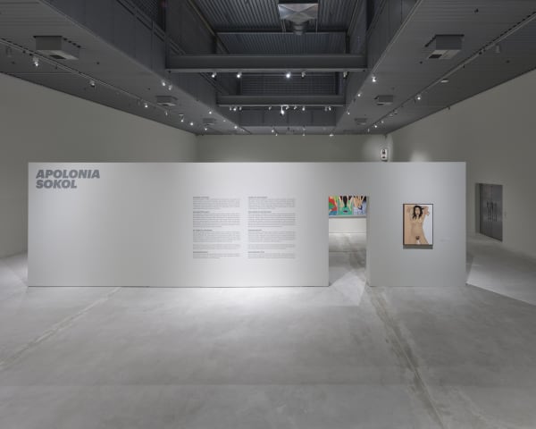 Portrait Power: Danish Museum Presents First Major Apolonia Sokol Show
