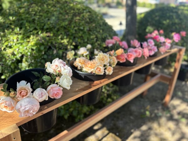 Painted Table Farm