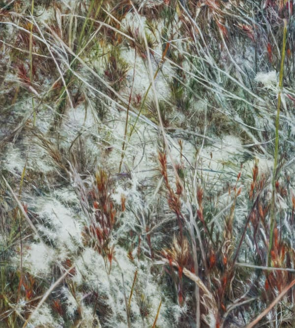 Untitled4819-66, 2023 Oil on canvas 116x104cm