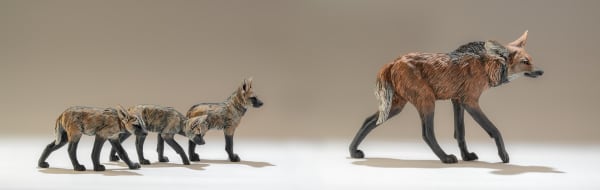 Nick Mackman, Maned Wolf