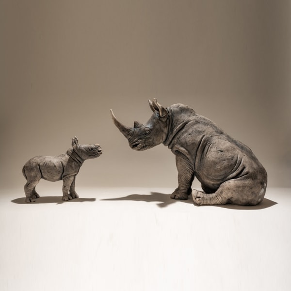Nick Mackman, White Rhino baby and Mother
