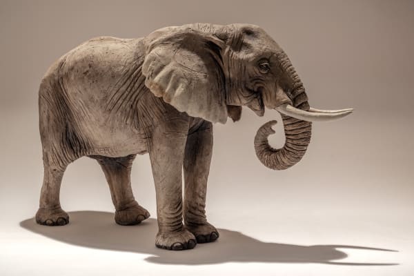 Nick Mackman, Elephant (Trunk Down)