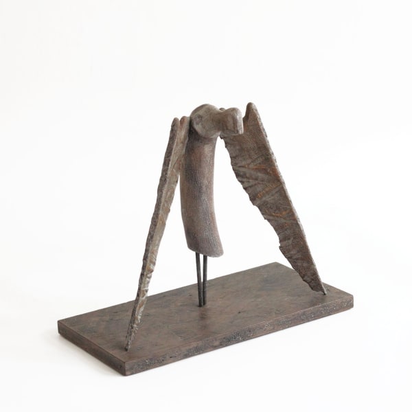 Roger Hardy, Icarus in Thought