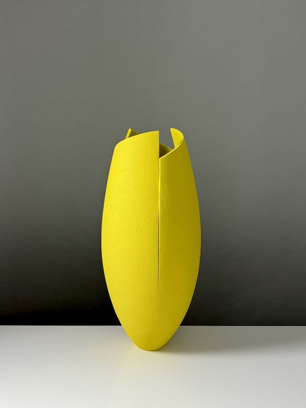 Ashraf Hanna, Yellow Cut and Altered Vessel