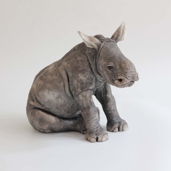 Nick Mackman, Rhino Baby