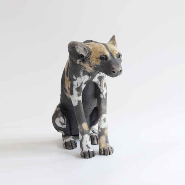 Nick Mackman, Wild Dog Rumble 1 (Ears Back)