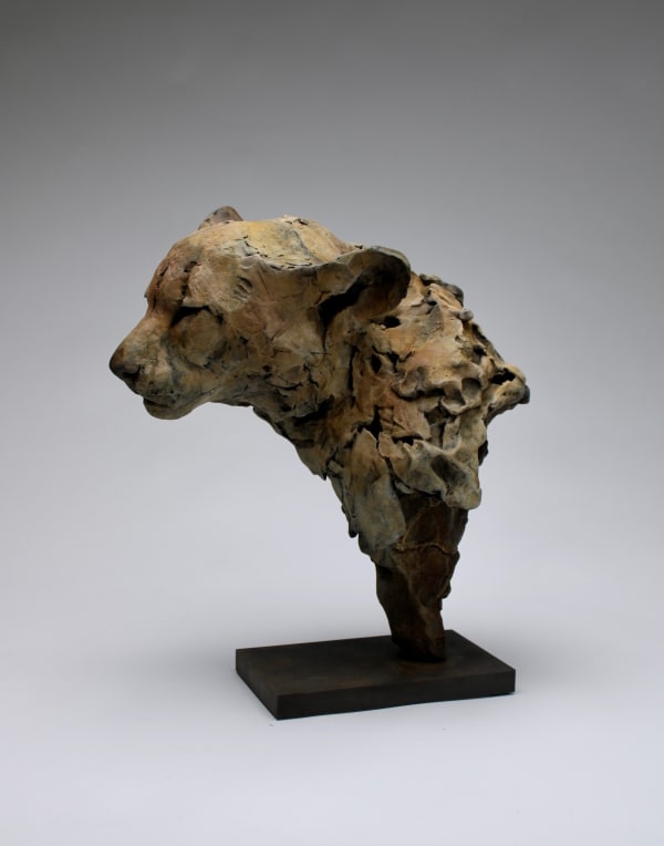Nichola Theakston, Felid II