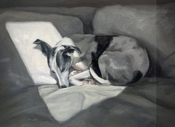 James Needham, Skylight II