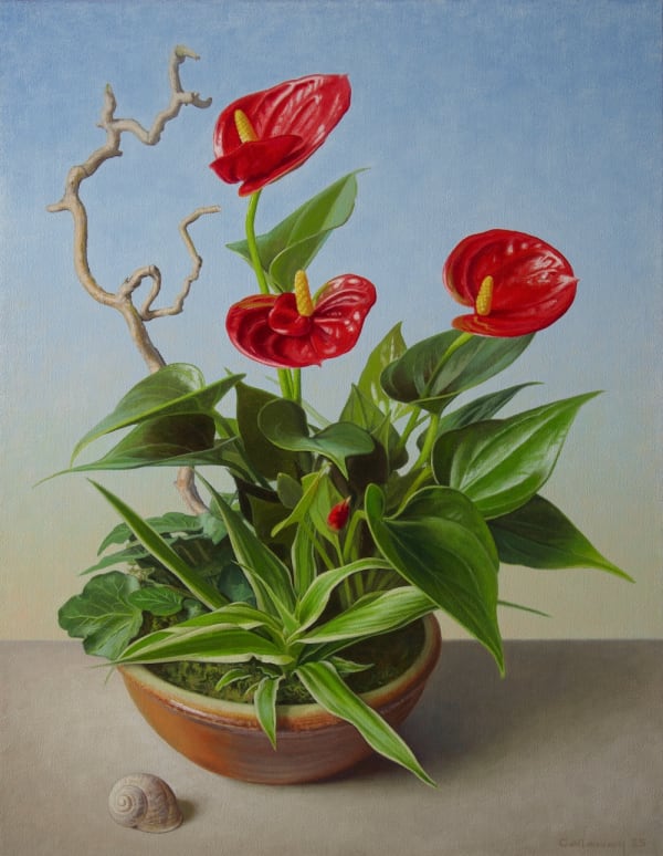 Alex Callaway, Oasis