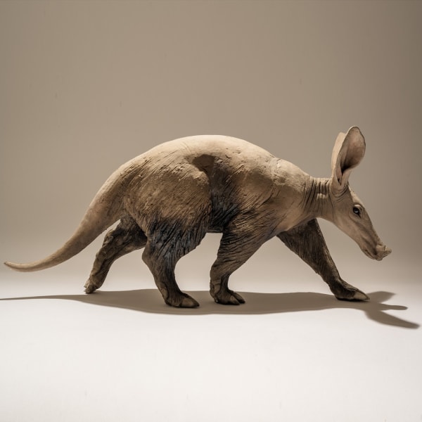 Nick Mackman, Aardvark
