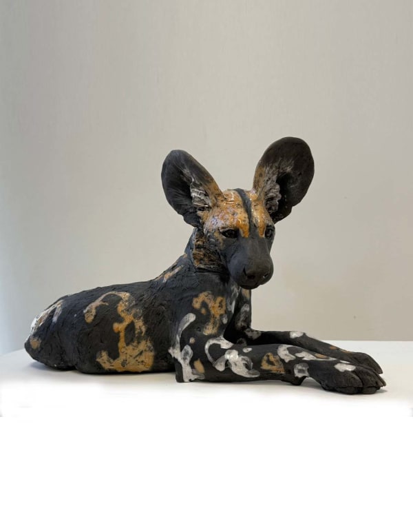 Nick Mackman, Wild Dog Pup Looking Ahead