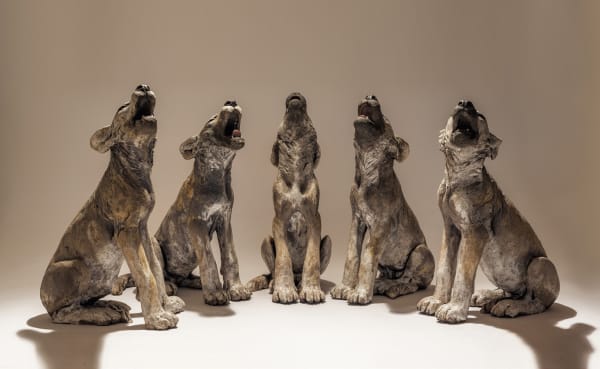 Nick Mackman, Call of the Wild