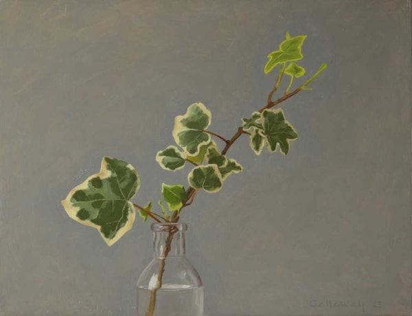 Alex Callaway, Ivy Sprig