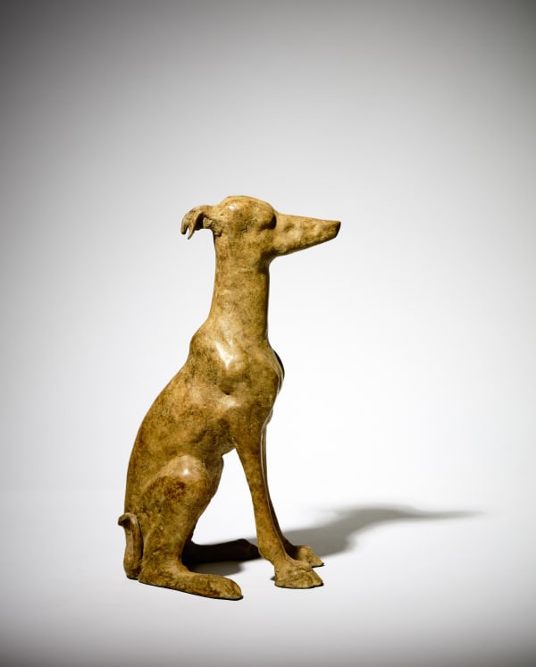 Anthony Scott, Connla