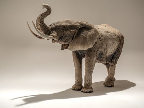 Nick Mackman, Elephant (Trunk up)