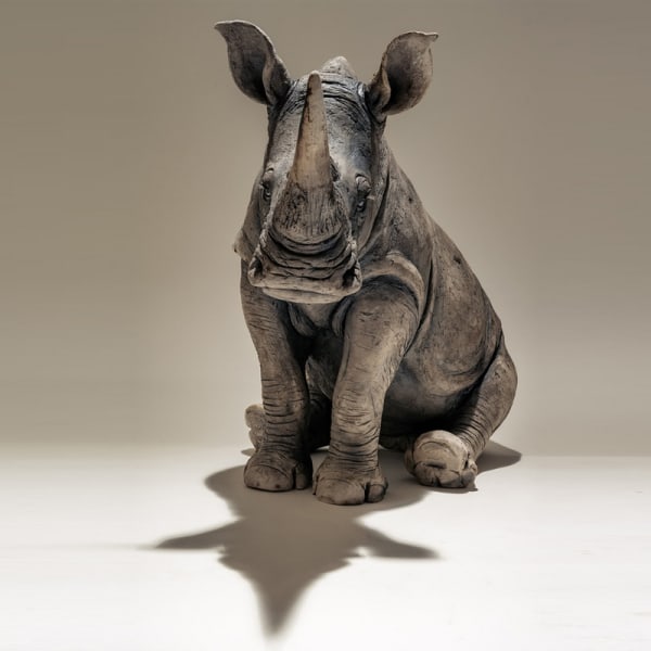 Nick Mackman, White Rhino (Mother)